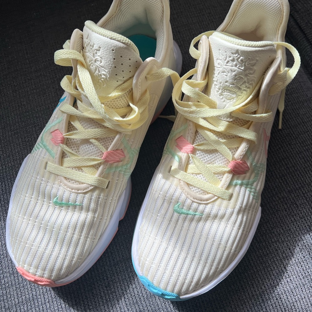 Nike Lebron Basketball Shoes